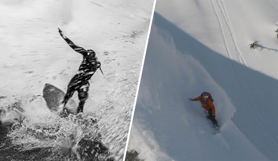 Robin Van Gyn Fabric