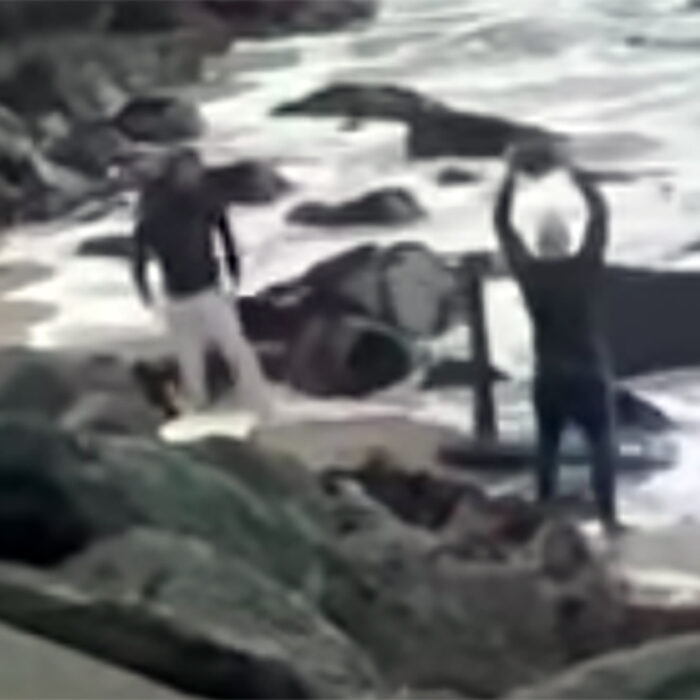Surfer Destroys Foil Board at Fort Point