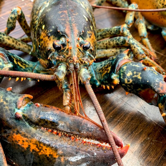 Lobsters
