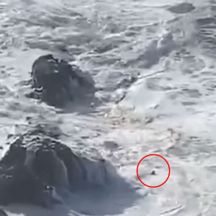 Closest calls in surfing Andrew Cotton at Nazare