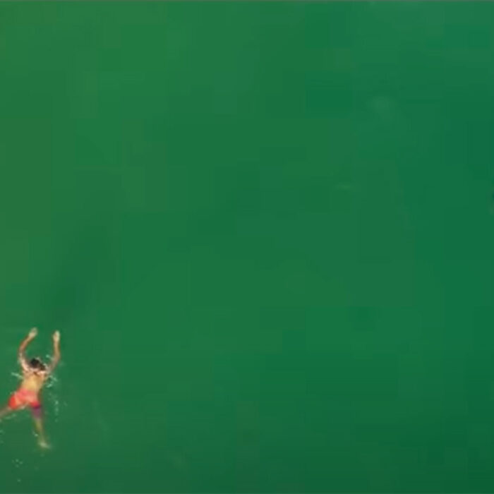 Drone Captures Rare Interaction Between Great White Shark and a Swimmer
