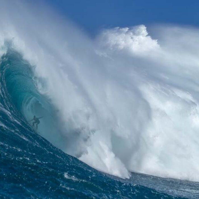 Women in the Barrel: A New Era