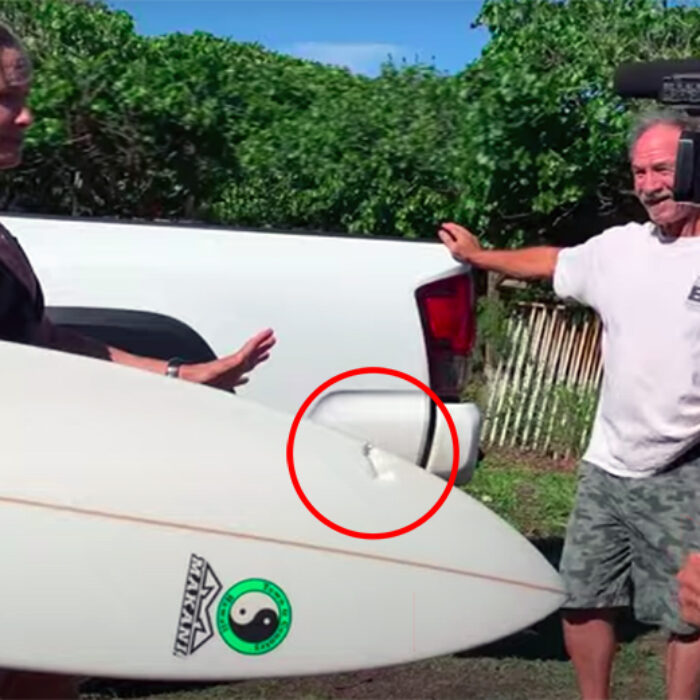 Surfer Attacked by Wild Boar in Hawaii