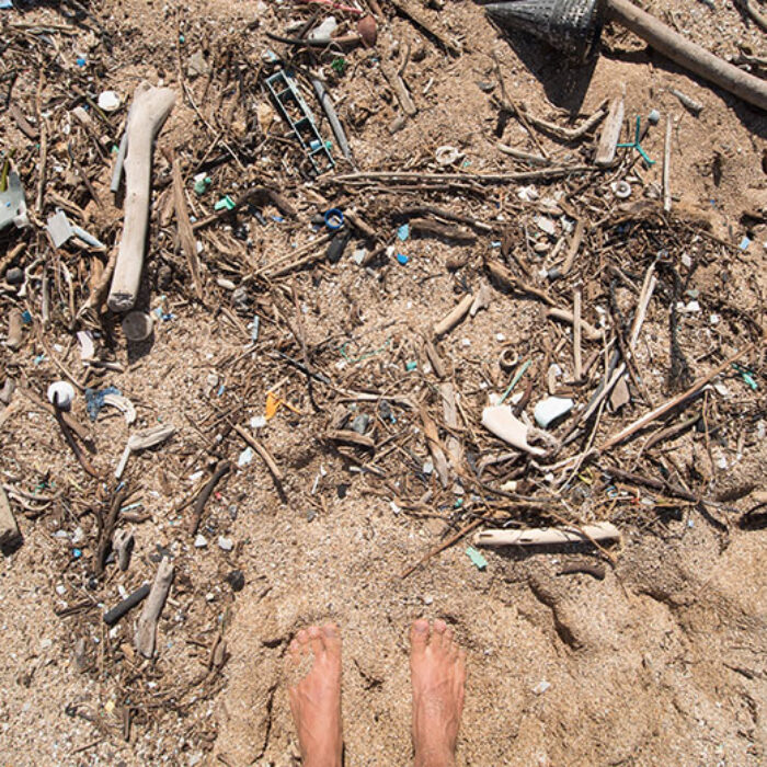 Plastic pollution on a beach on Lanai