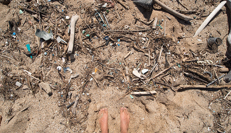 Plastic pollution on a beach on Lanai