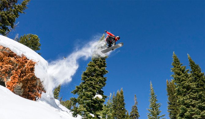 Elena Hight Jackson Hole