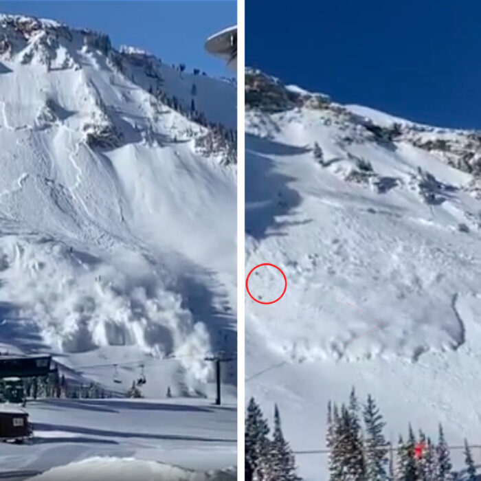 Footage of Massive Controlled Avalanche at Alta Ski Resort Shows Patrollers Getting Caught