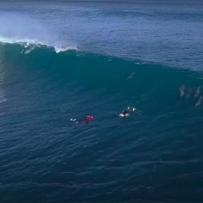 Drone Footage Shows Dolphins Enjoying Waves With Surfers in Western Australia