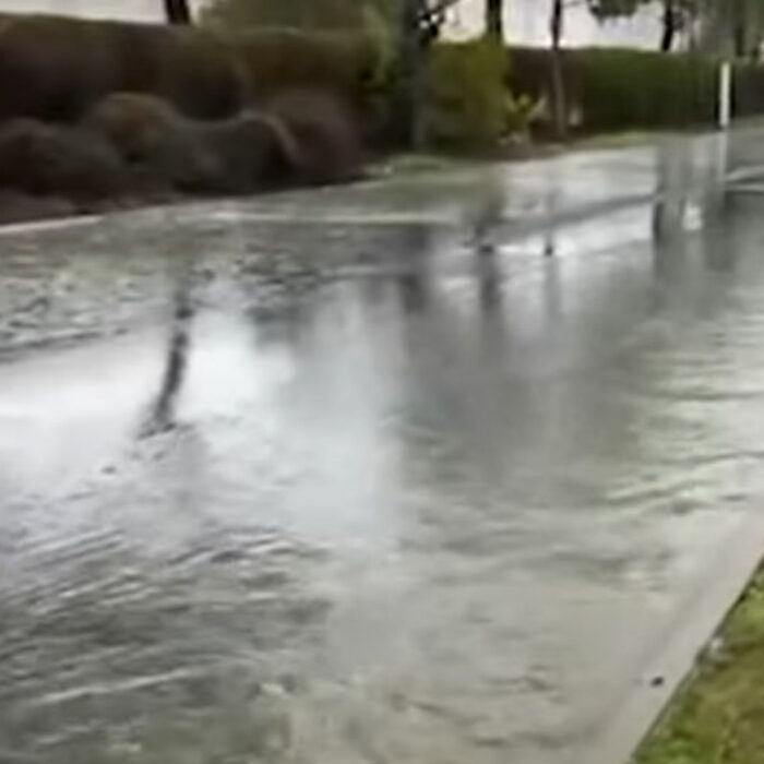 Raw sewage in Carson, California