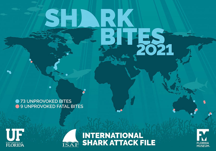 Shark attacks worldwide in 2021