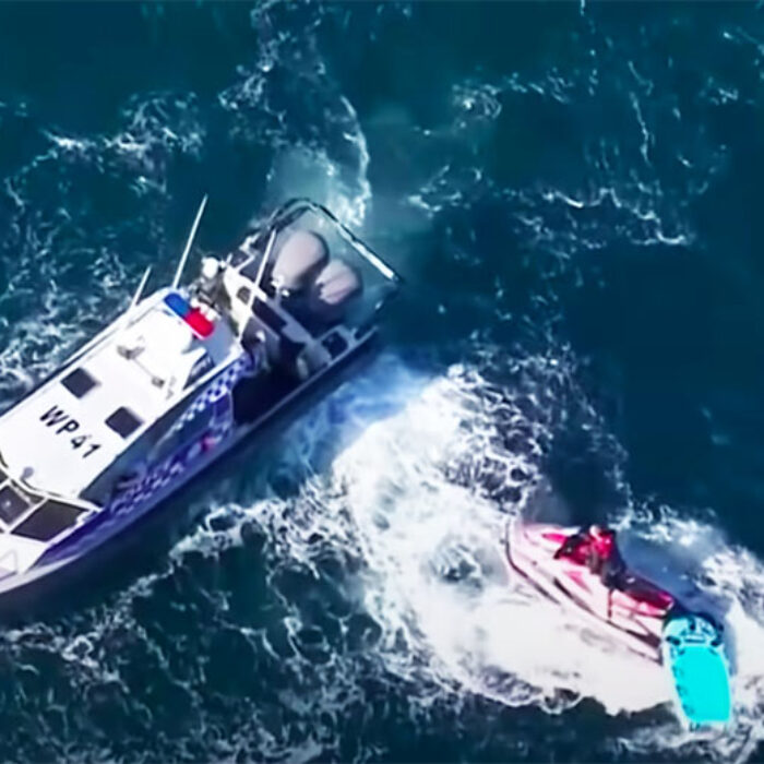 Video Footage Shows Massive Hunt for Great White Shark That Killed Swimmer