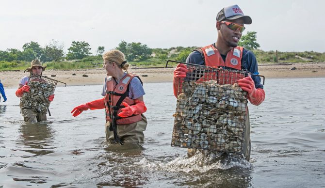 The Billion Oyster Project Is Restoring New York City’s Waterways, and Hopefully the Lineup
