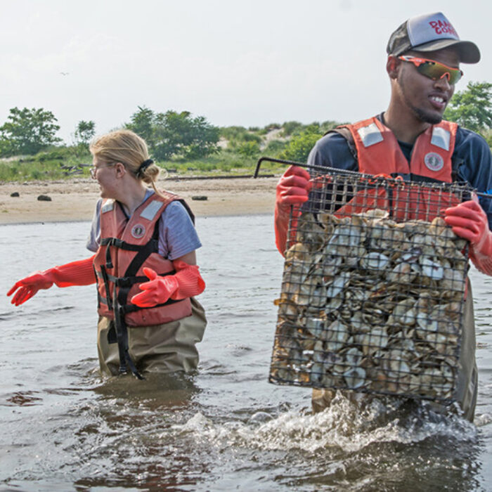 The Billion Oyster Project Is Restoring New York City’s Waterways, and Hopefully the Lineup