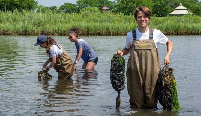 The Billion Oyster Project Is Restoring New York City’s Waterways, and Hopefully the Lineup