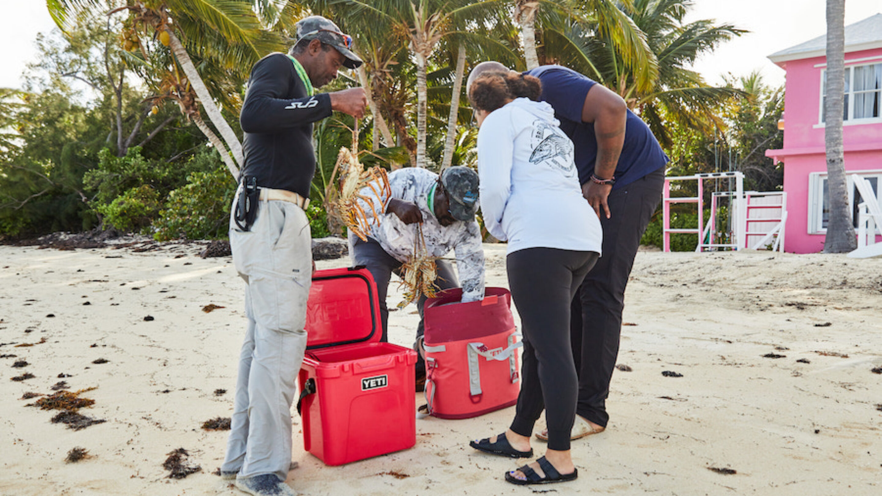 YETI new collection Bimini