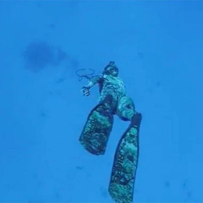 Mark Healey and Kimi Werner spearfishing