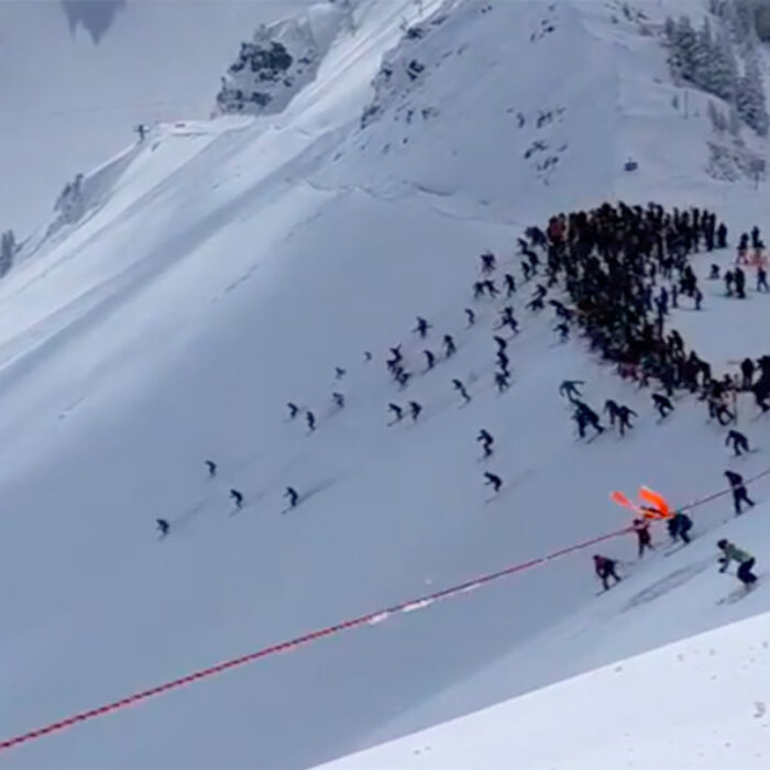 This Is What Snowbird Looks Like When Ski Patrol Drops the Rope on Fresh Pow