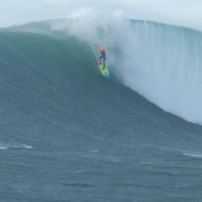 Jojo at Mavericks in Orange