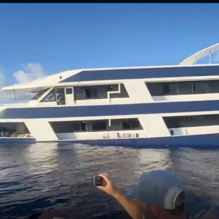 Blue Star surf charter sinks