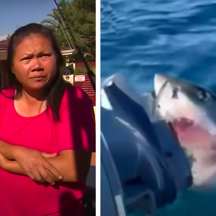 Family Describes Crazy Scene as Great White Shark Circles Fishing Boat For an Hour