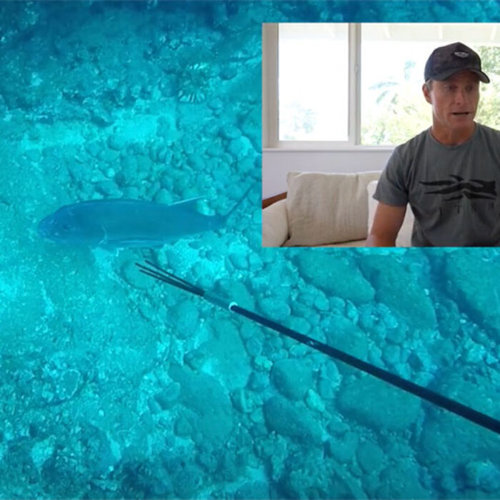mark Healey on how to shoot fish
