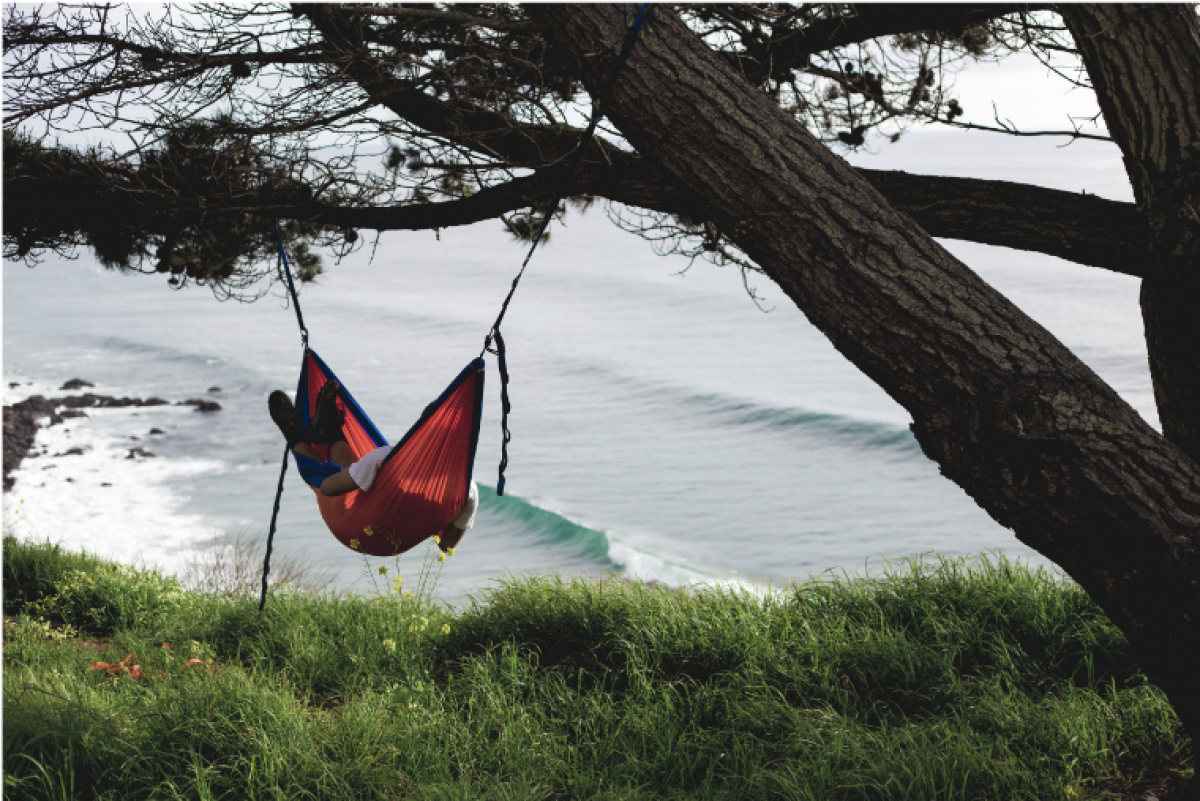 The Best Hammocks of 2023 | The Inertia - Vimarsana News