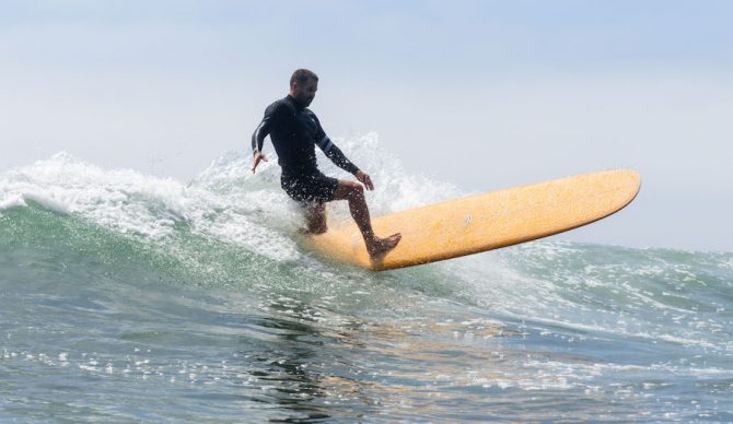 Etnies CJ Nelson Speed Power Flow