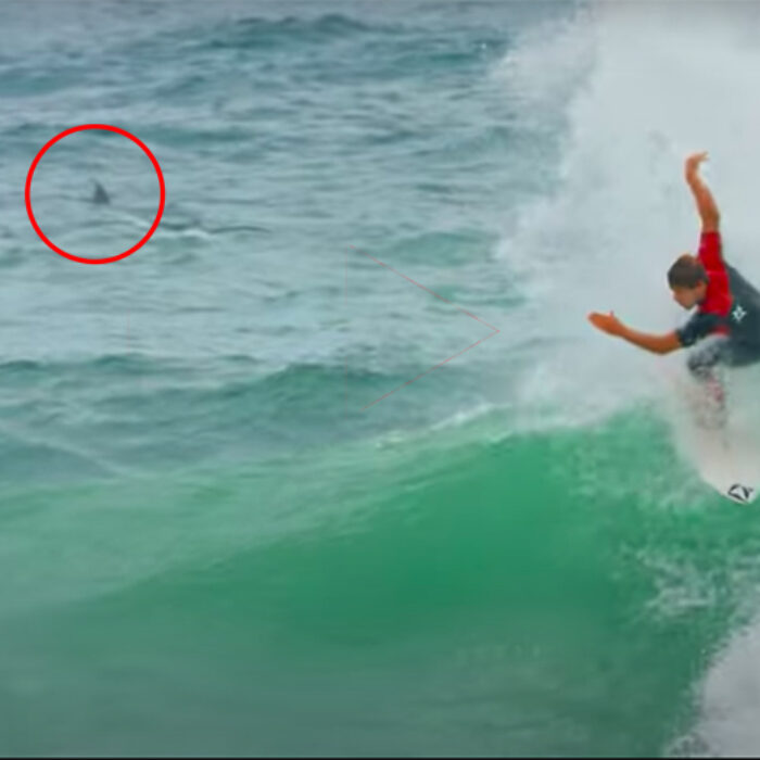 Jack Robinson: A Shark in the Lineup and Three Airs on a Wave?
