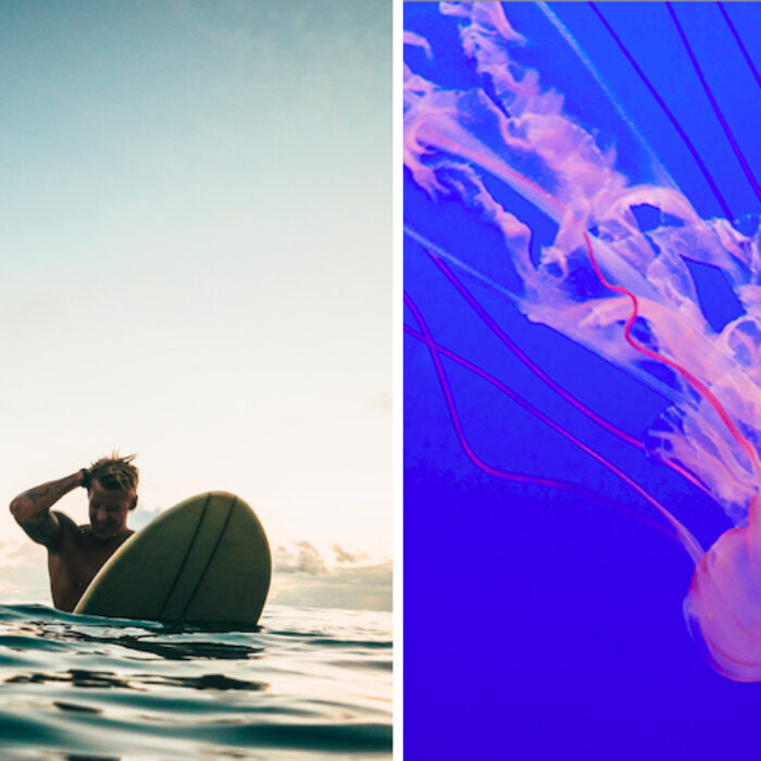 Why Reducing Your Plastic Usage May Save Your Skin From Itchy Jellyfish