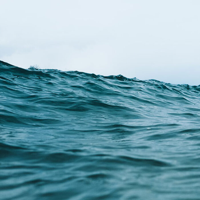ocean acidity and temperature rising