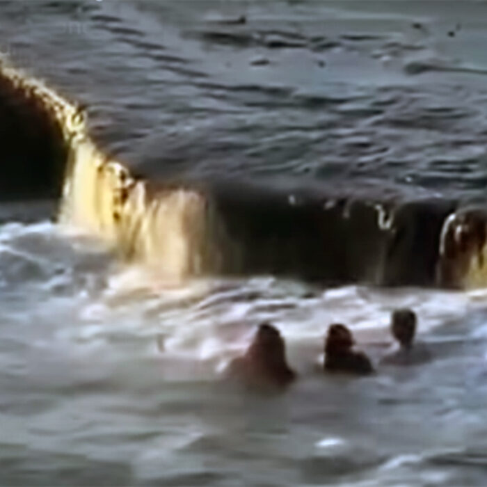 Two Teens Receive Carnegie Medals for Dramatic Rescue at Sunset Cliffs
