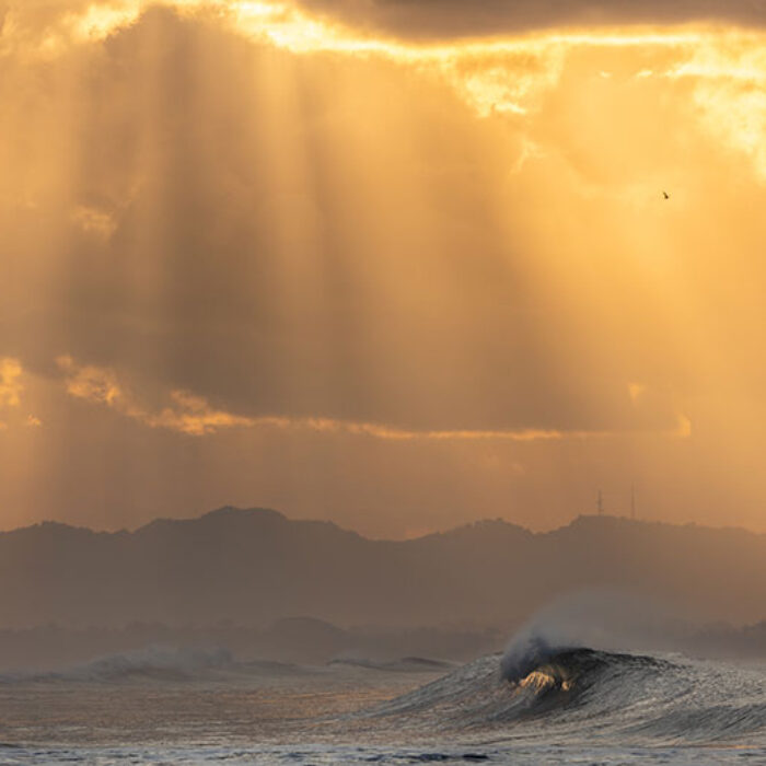All-Time Scott Harrison photo