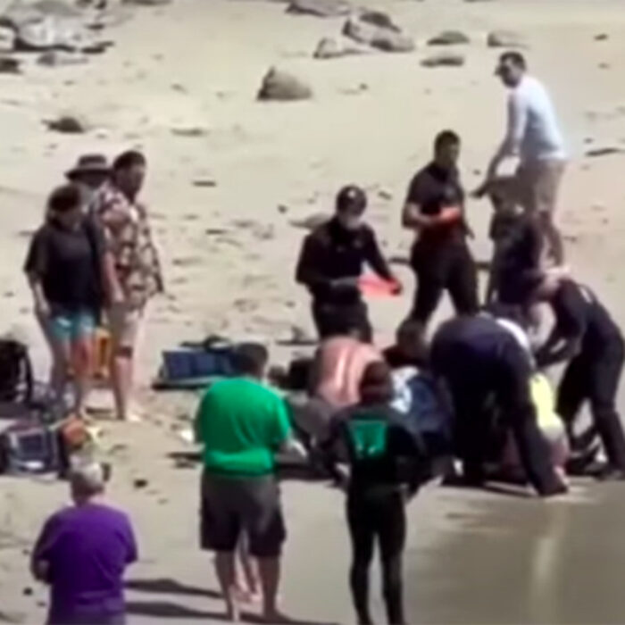 The California Department of Fish and Wildlife's forensic scientists used the bite mark to estimate the size of the shark that attacked a swimmer near Monterey.