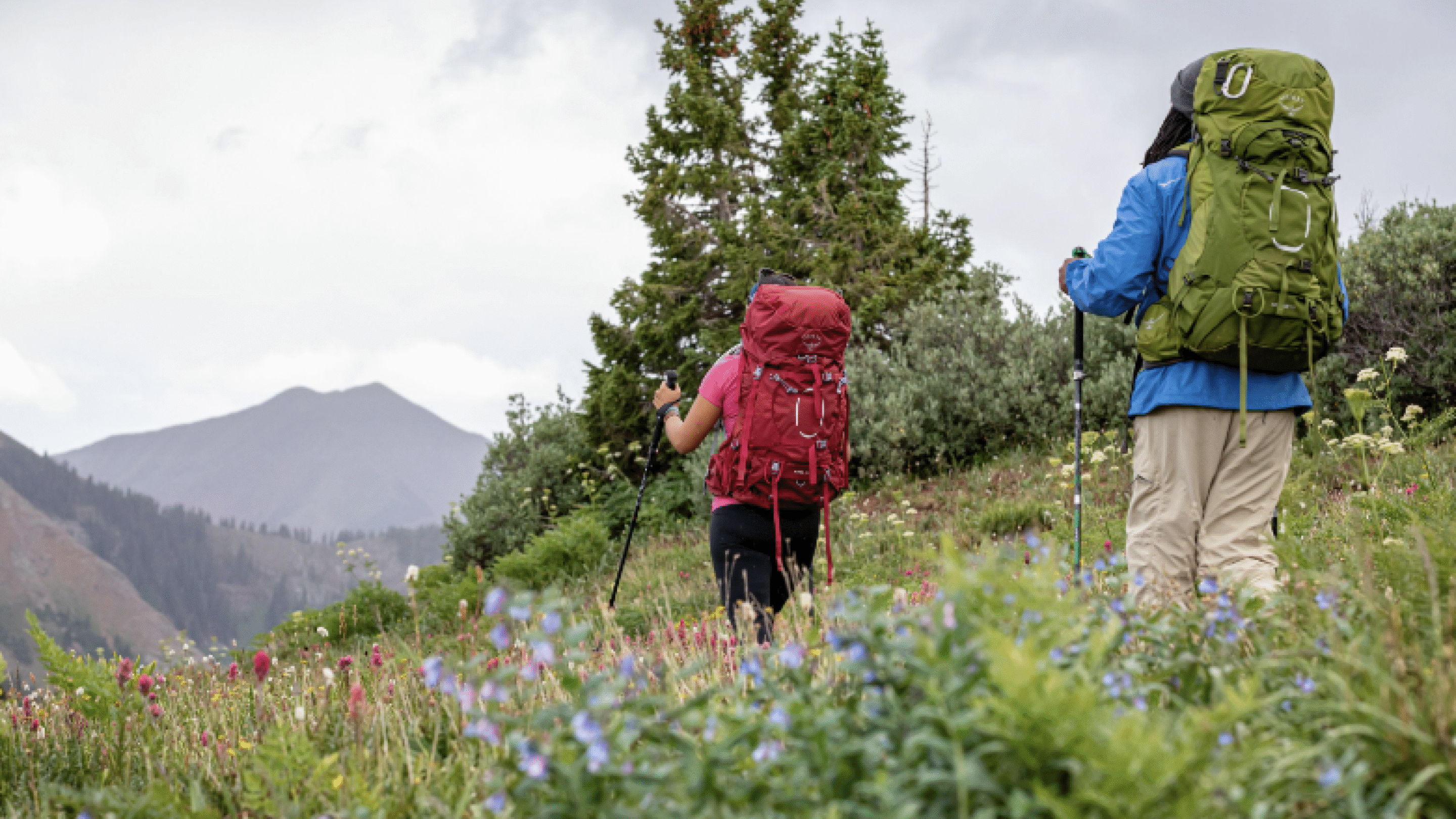 Gear We Test: 12 Days Backpacking with Osprey’s Ariel 55