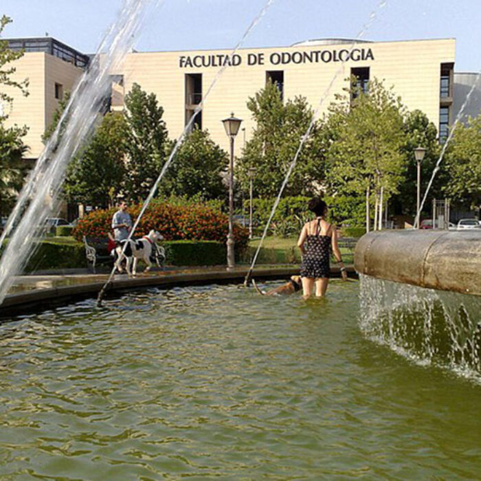 heat wave in Seville, Spain