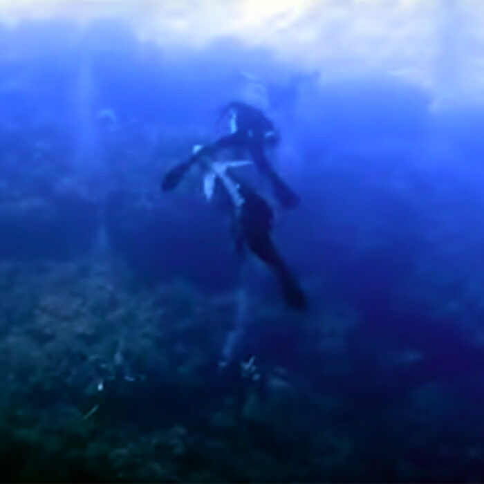 Is This One of the Craziest Shark Attacks Ever Caught on Film?