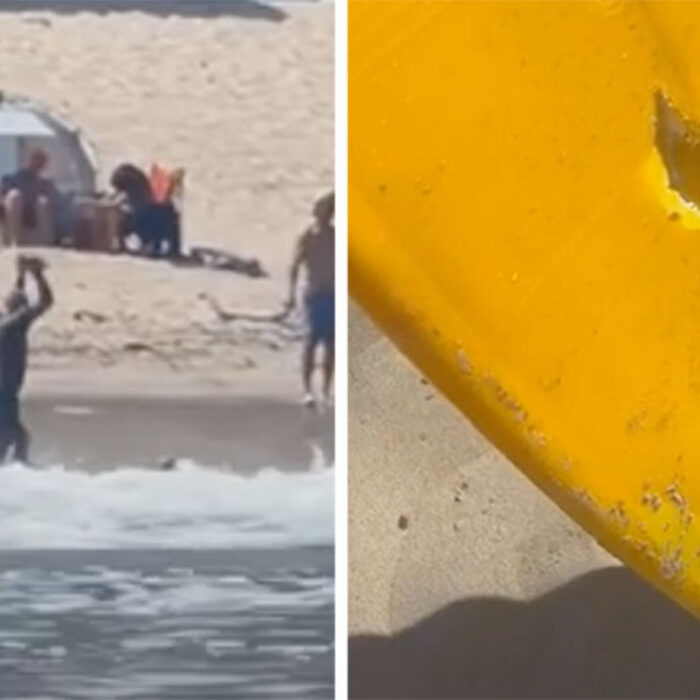 surfing violence at Malibu