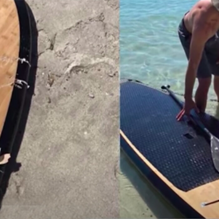 Shark Attacks Paddleboarder With Dog in Pacific Grove During Second Incident This Summer