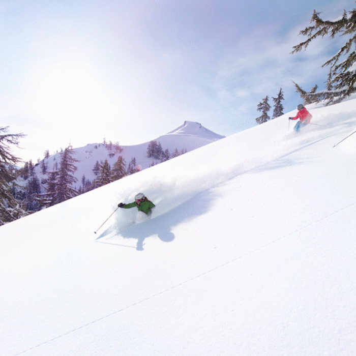 Powder at Sun Valley