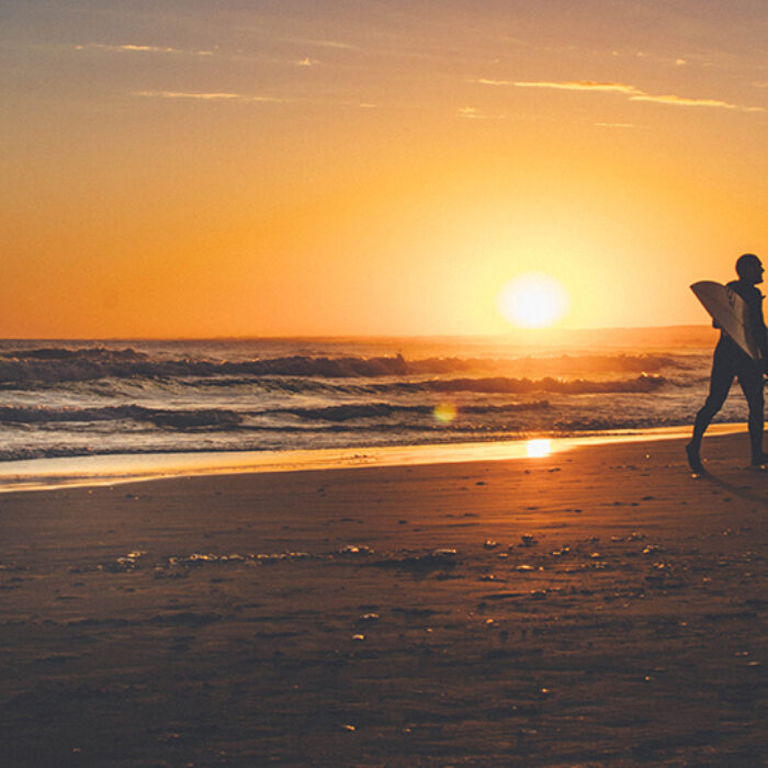 Why Is Surfing So Good for Us? A Neuroscientist and a Writer Offer Clues