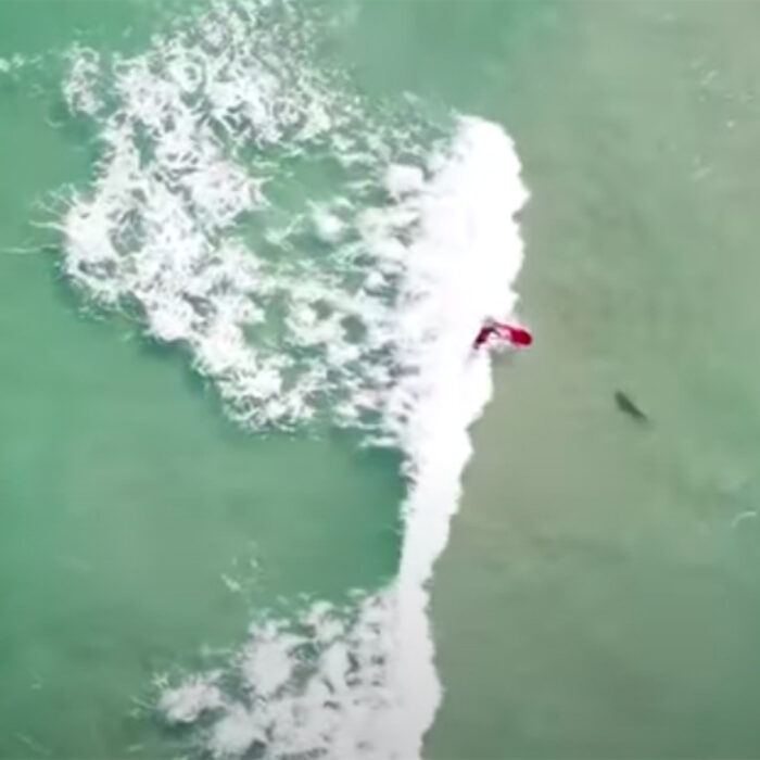 Drone Captures Surfer Falling on Shark