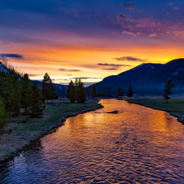 yellowstone zone of death