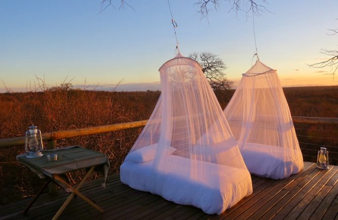 mosquito nets in south africa