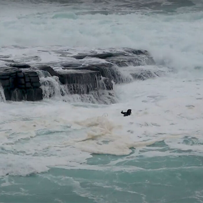 Nathan Florence paddle out in Scotland