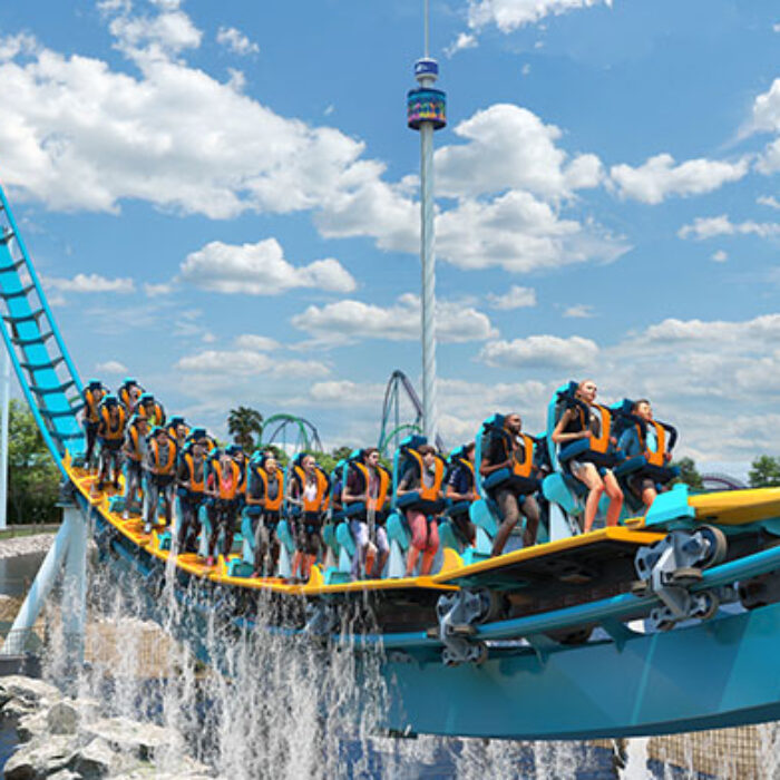 Pipeline: The Surf Coaster