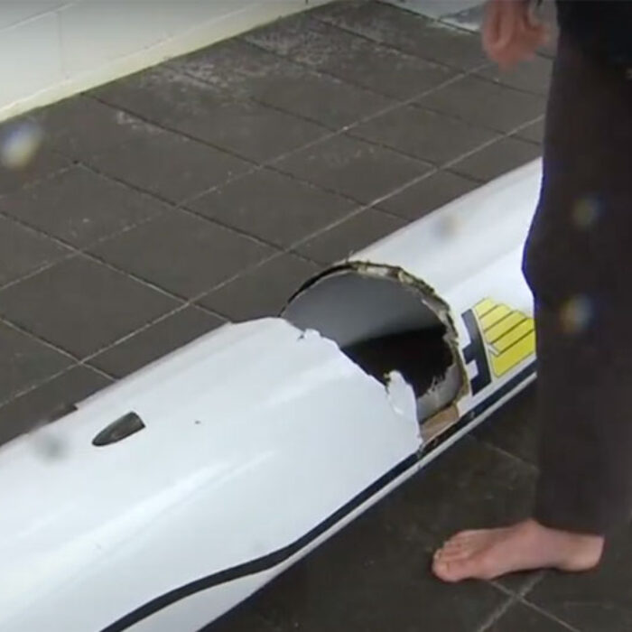 great white shark hit surf ski