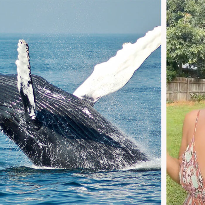 TikTok user finds whale penis