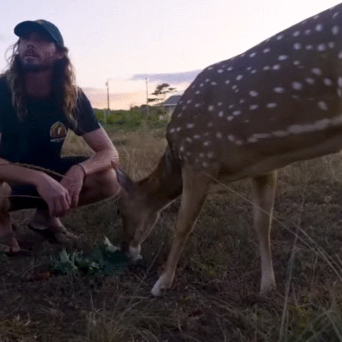 Matt Meola with his pet deer