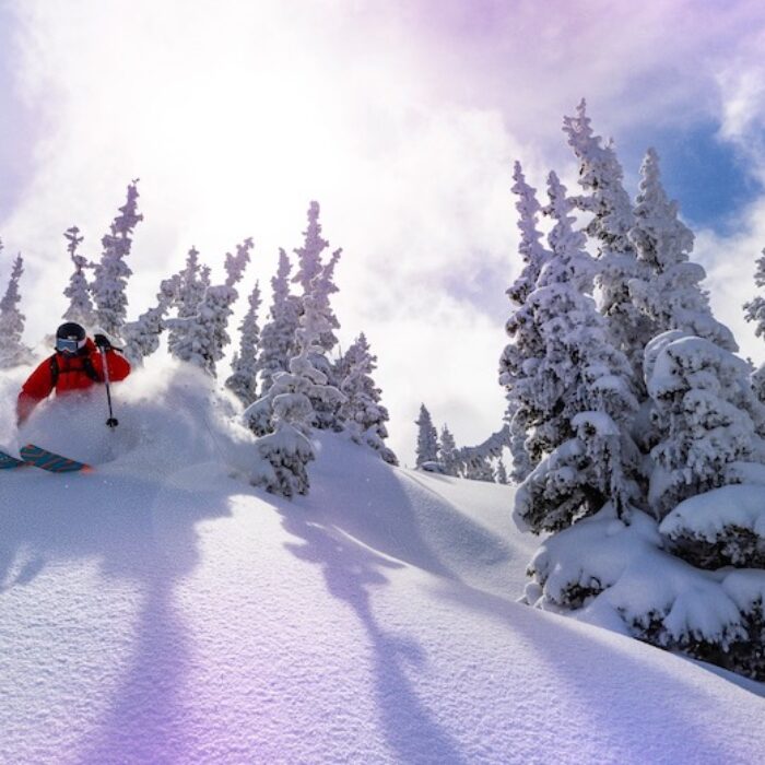 Skier in powder for Ikon Pass