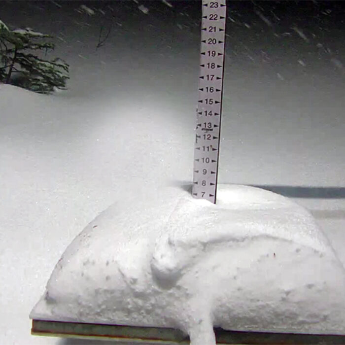Most of the West Could Get Multiple Feet of Blower Powder This Week